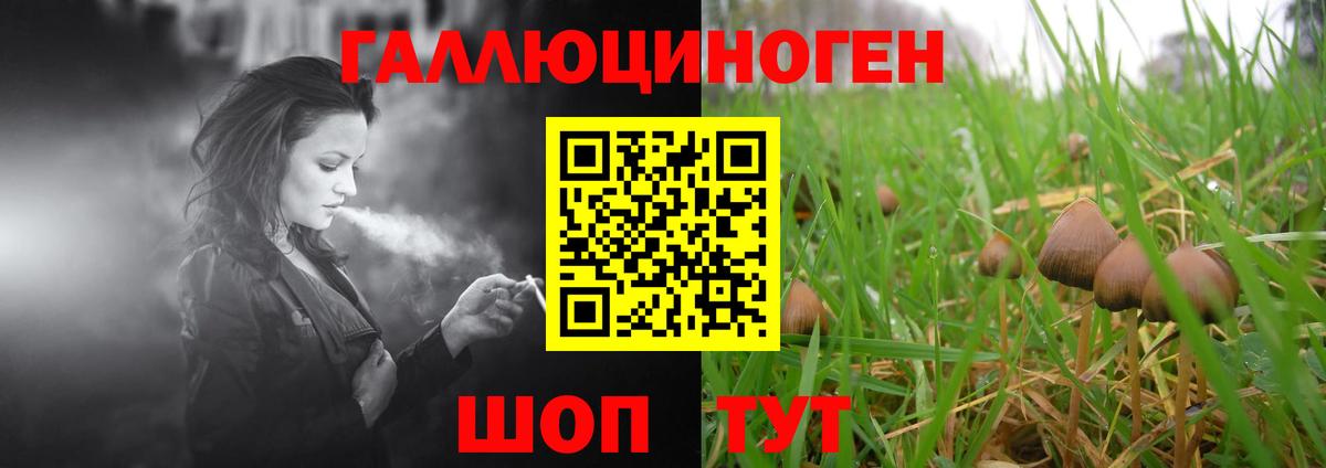 Тобольск  Галлюциногенные грибы Magic Shrooms  Вход с VPN 
